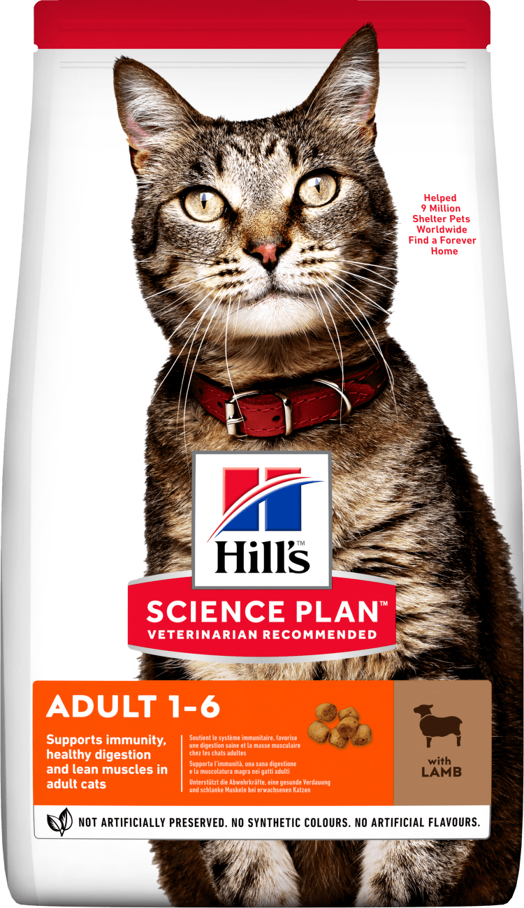 Hill´s Science Plan Feline Adult Lamb & Rice 10kg