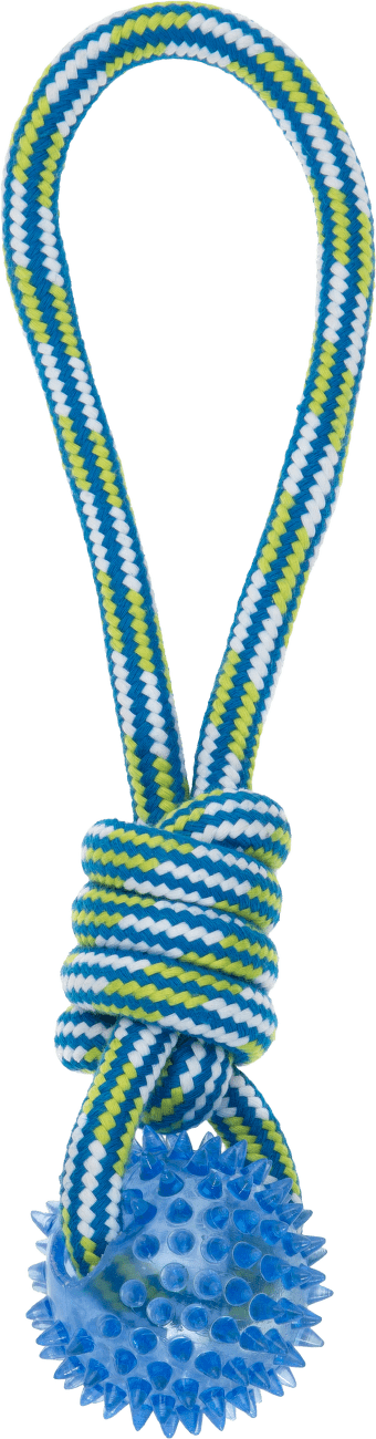 Hračka Have a Pet s míčkem modro-zelená 32cm