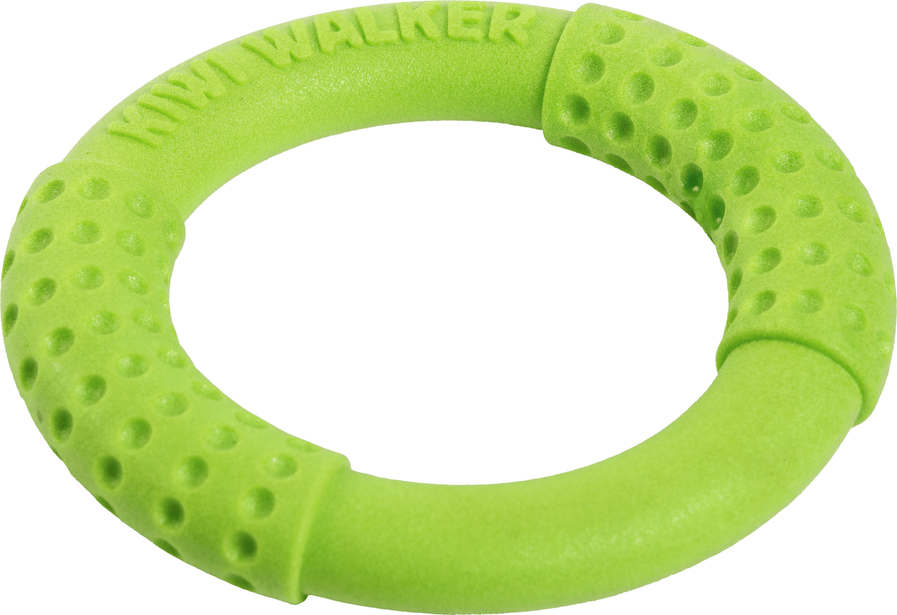 Hračka Kiwi Walker TPR guma kruh zelený 13cm