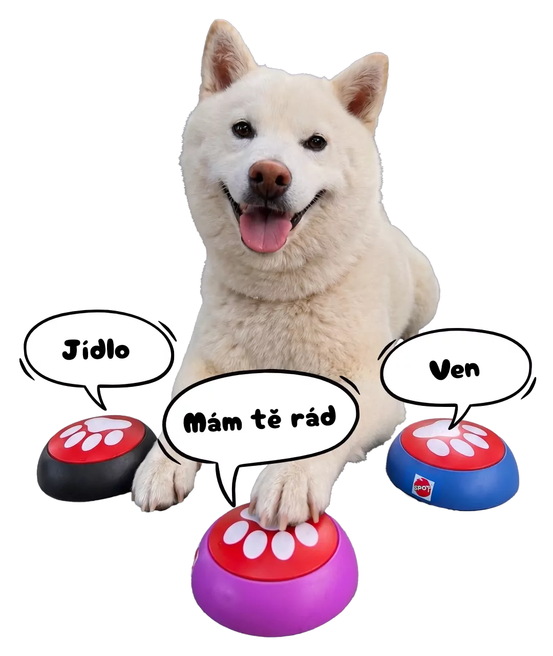 Hračka Spot Easy Talk interaktivní tlačítka 3 ks