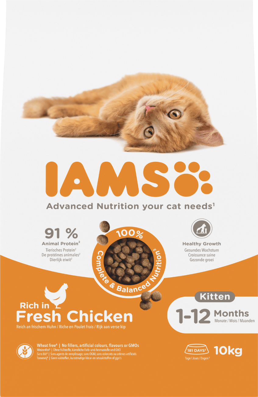 IAMS Cat Kitten Chicken 10kg