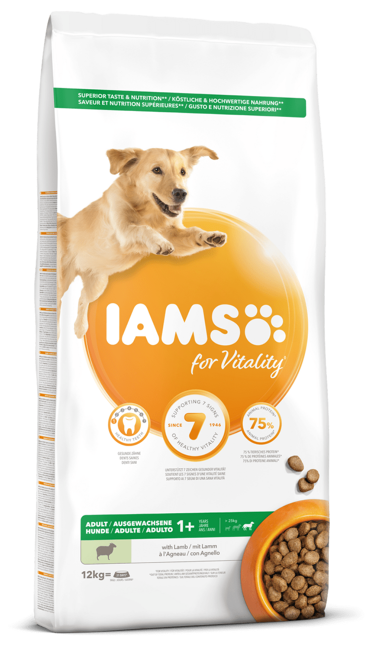 IAMS Dog Adult Large Lamb 12kg