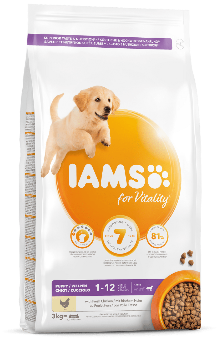 IAMS Dog Puppy Large Chicken 3kg