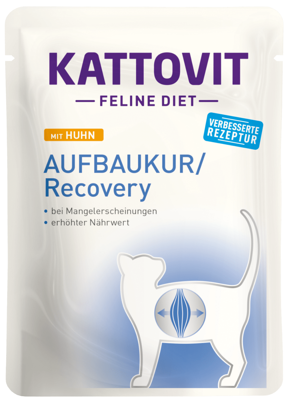 Kapsička Kattovit Recovery kuře 85g