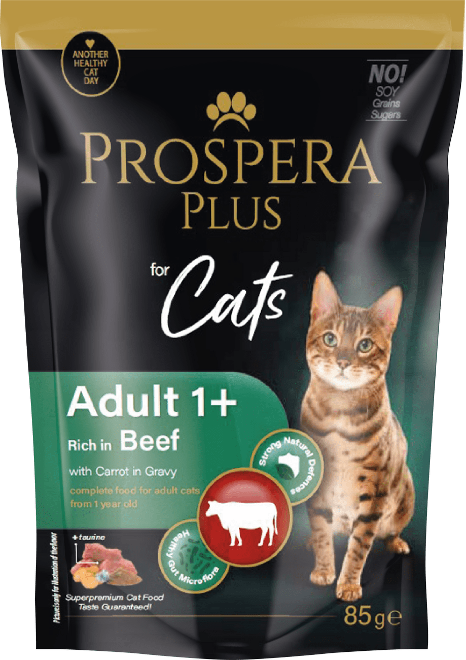 Kapsička Prospera Plus Cat Adult 1+ hovězí s mrkví 85g
