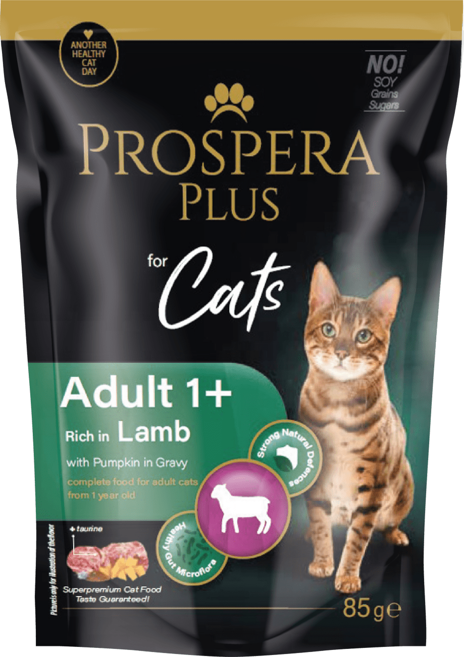 Kapsička Prospera Plus Cat Adult 1+ jehněčí a dýně 85g