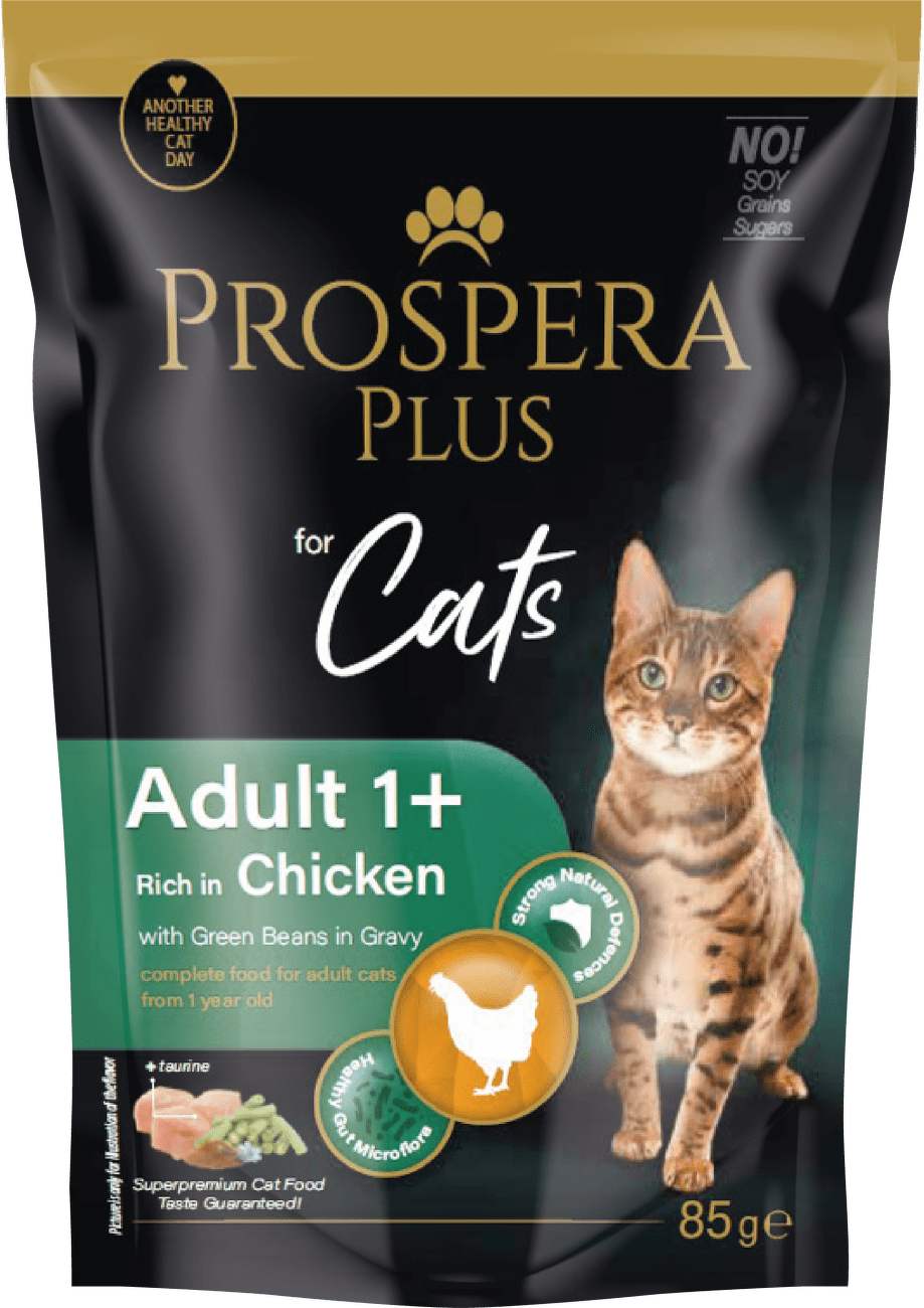 Kapsička Prospera Plus Cat Adult 1+ kuře s fazolkami 85g