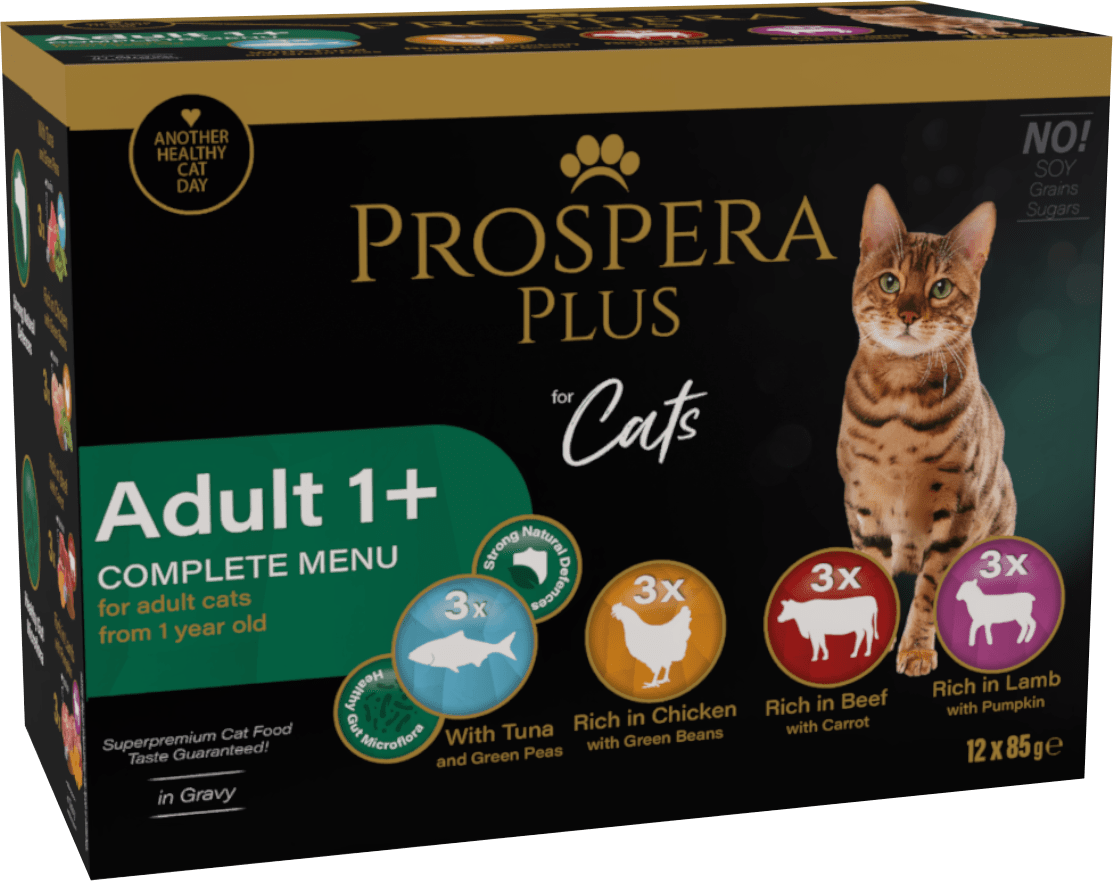 Kapsičky Prospera Plus Cat Adult 1+ Multipack 12x85g