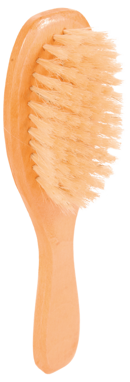 Kartáč pro psy Trixie jednostranný 5*18cm