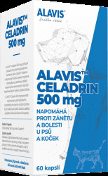 Kloubní výživa Alavis Celadrin 60tbl