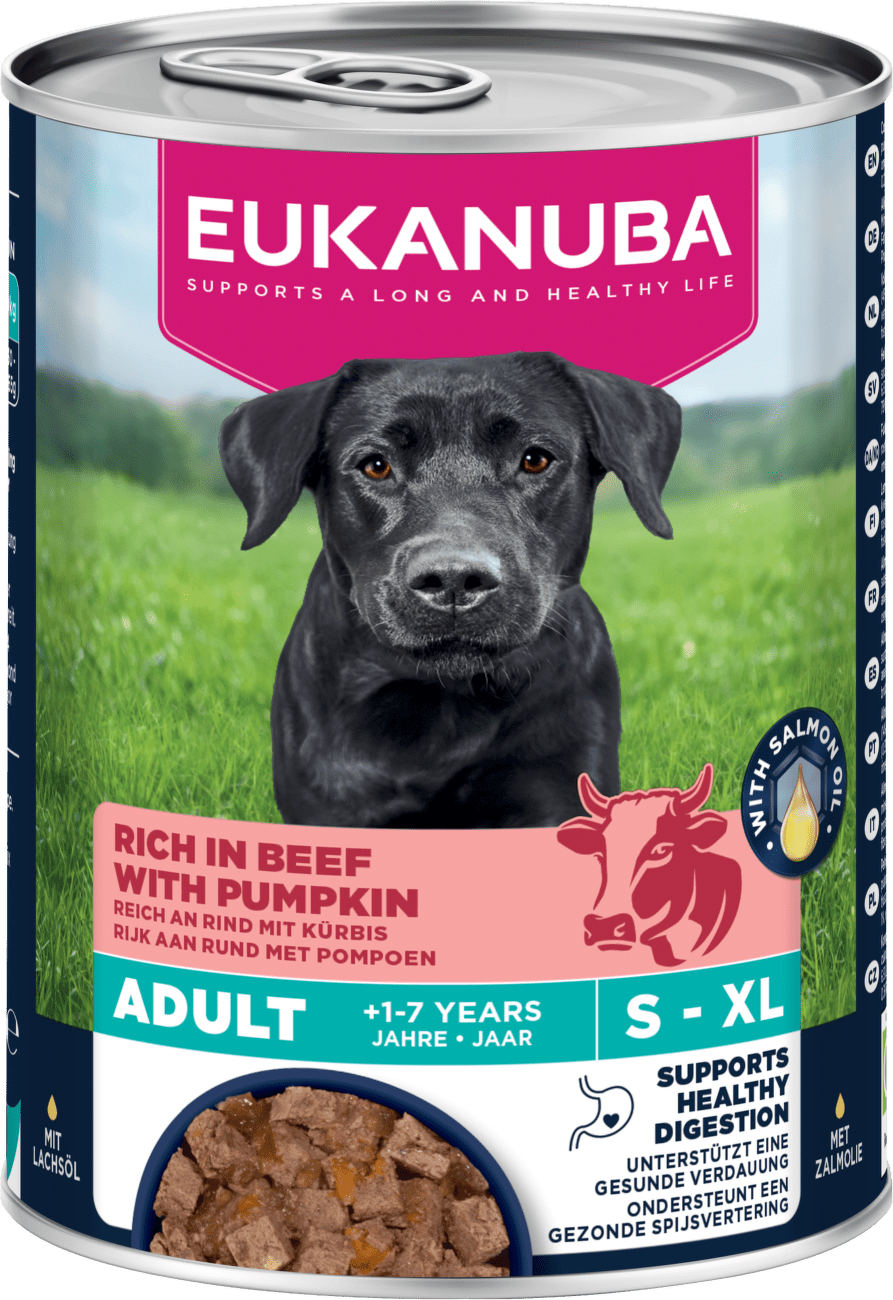 Konzerva Eukanuba Adult hovězí s dýní 400g