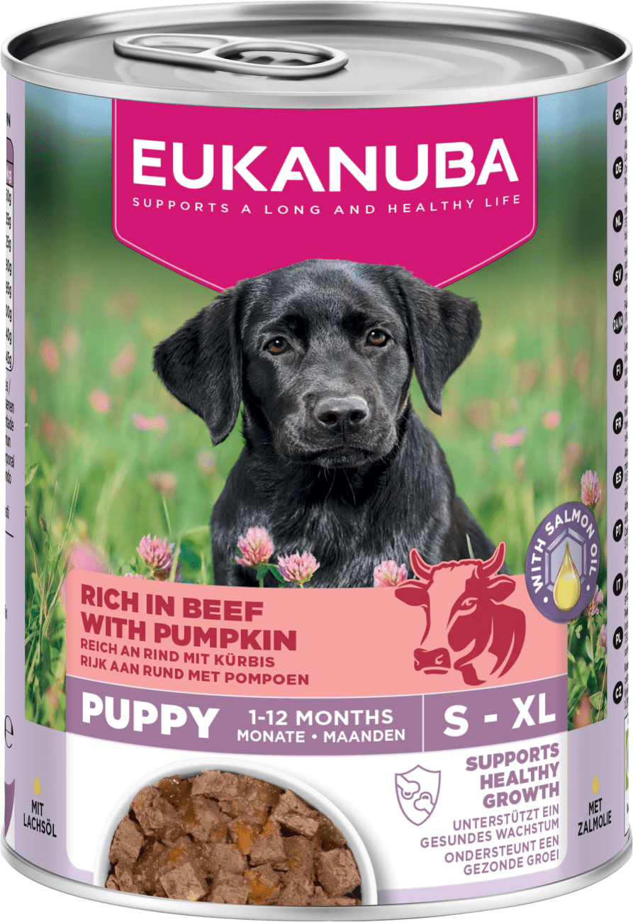 Konzerva Eukanuba Puppy hovězí s dýní 400g