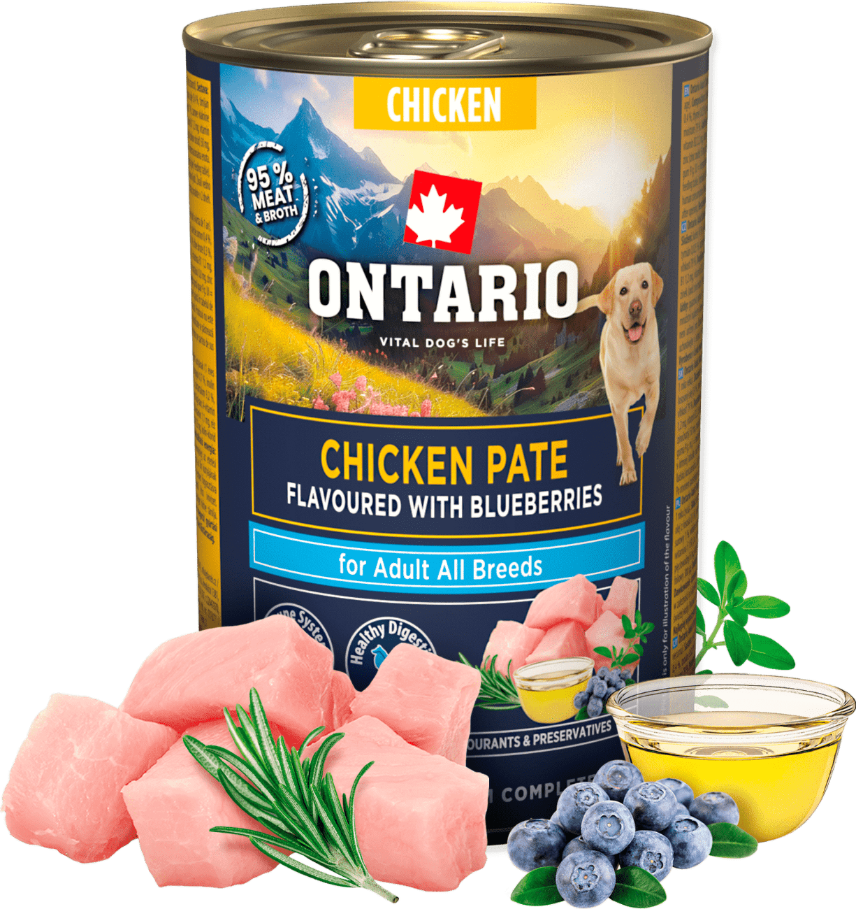 Konzerva Ontario Adult kuřecí pate s příchutí borůvek 400g