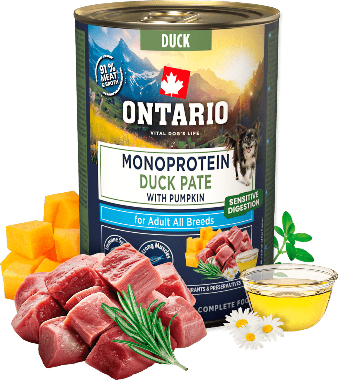 Konzerva Ontario Adult Monoprotein kachní pate s dýní 400g