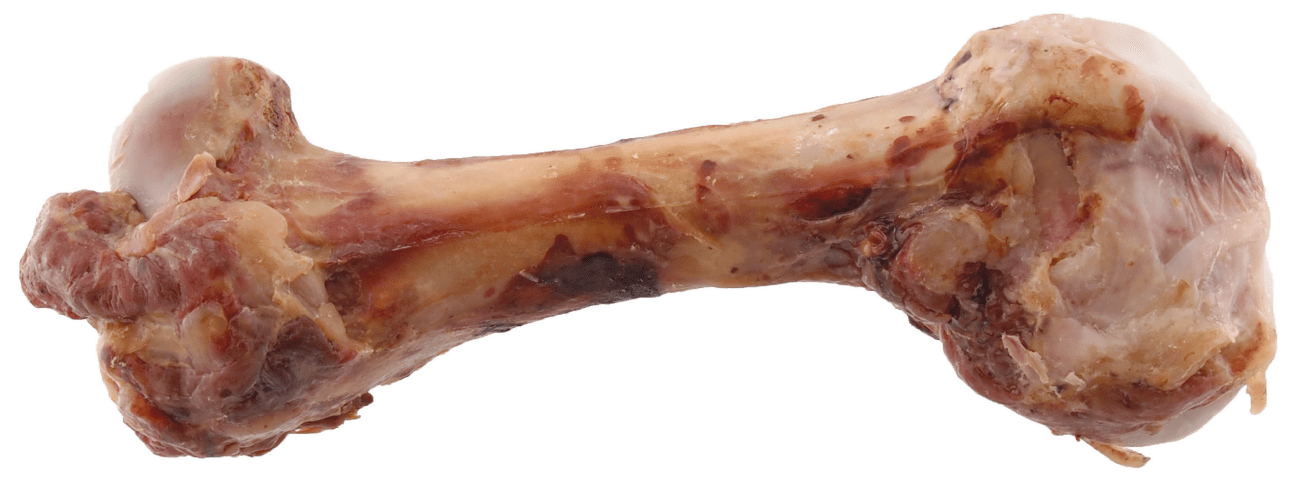 Kost Rasco šunková 287g