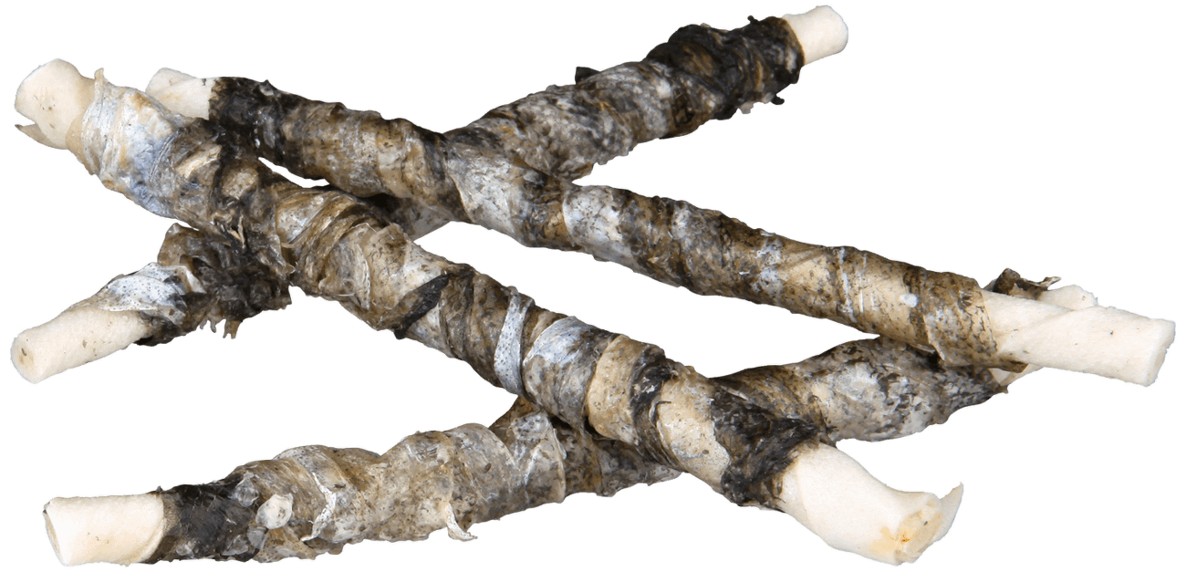 Kost žvýkací Denta Fun ryba 12cm, 10ks