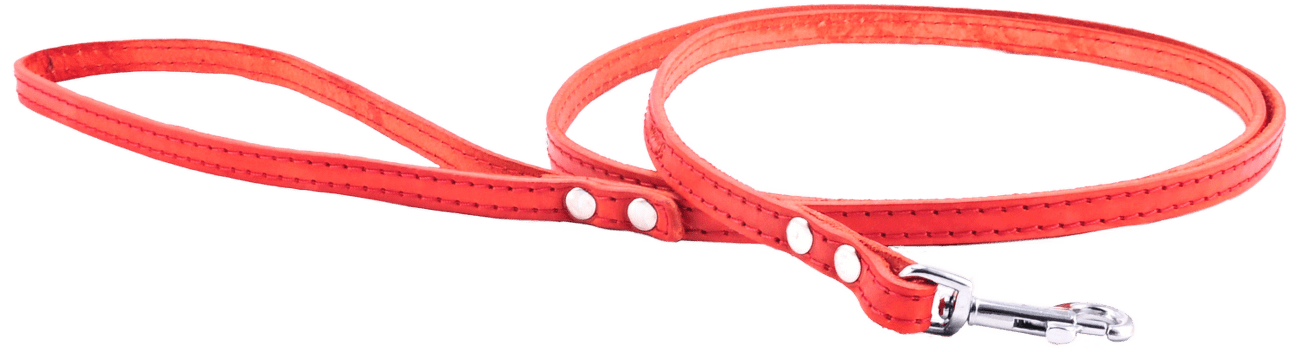 Kožené vodítko Tamer 1cm/175cm červené