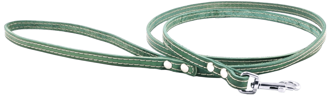 Kožené vodítko Tamer 1cm/175cm zelené