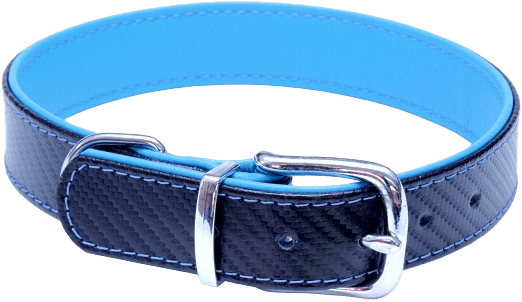 Kožený obojek BaF Carbon 59cm tyrkysový