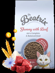 Krmivo Beatrix Adult Cat s hovězím 1,4kg