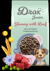 Krmivo Drax  Junior Dog s hovězím 10kg
