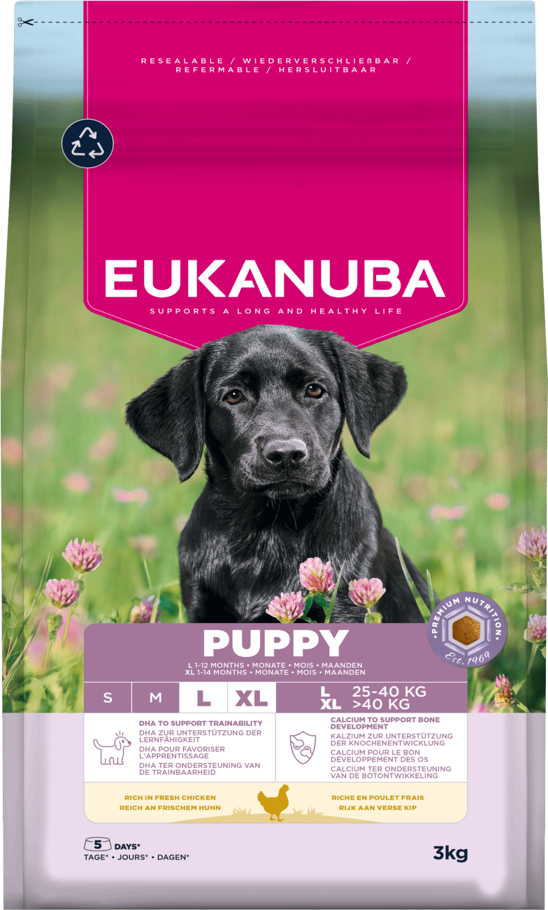 Krmivo Eukanuba Puppy Large s kuřecím 3kg
