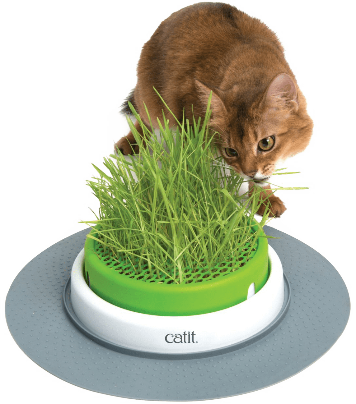 Miska na trávu pro kočky Catit Senses 2.0 Grass Planter