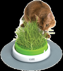 Miska na trávu pro kočky Catit Senses 2.0 Grass Planter
