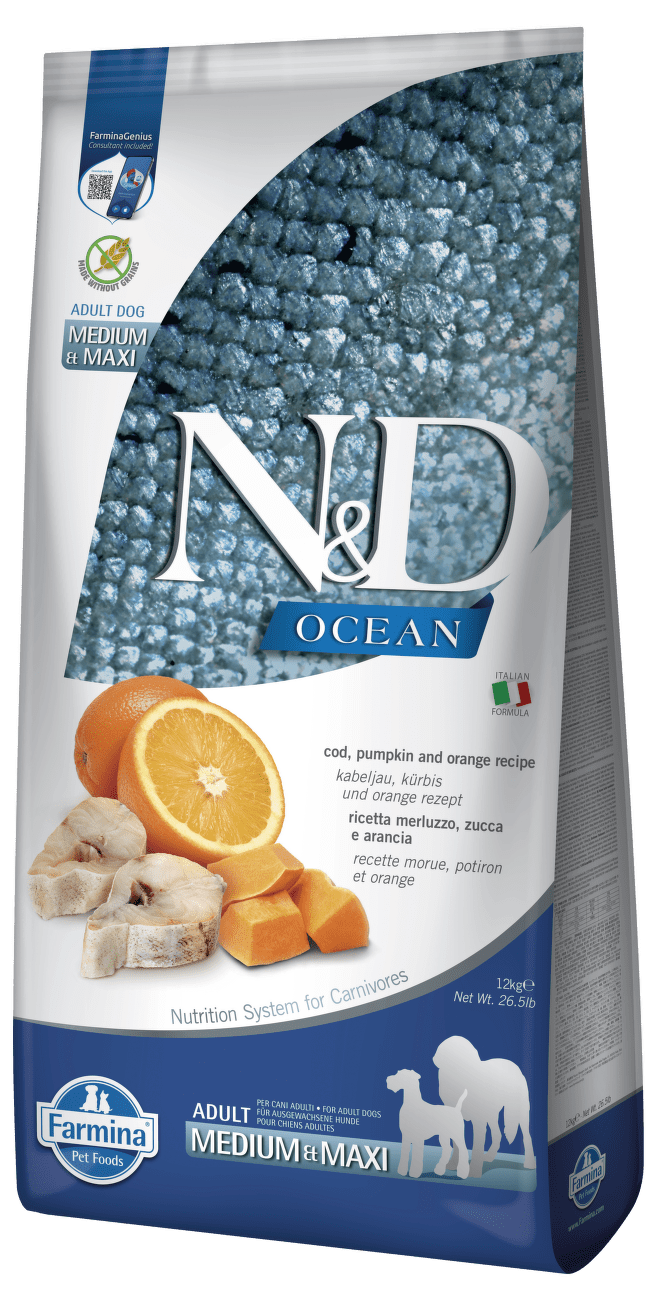 N&D Ocean Dog Adult Medium/Maxi Codfish&Pumpkin&Orange 12kg