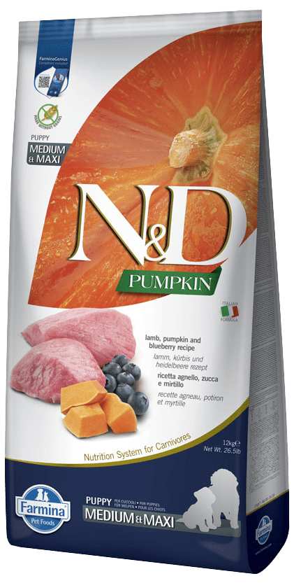 N&D Pumpkin Dog Puppy Medium/Maxi Lamb&Blueberry 12kg
