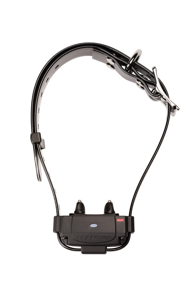 Num´axes Canifugue FUG1034 Obojek s přijímačem