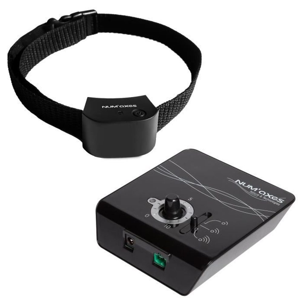 Num´axes Canifugue Small