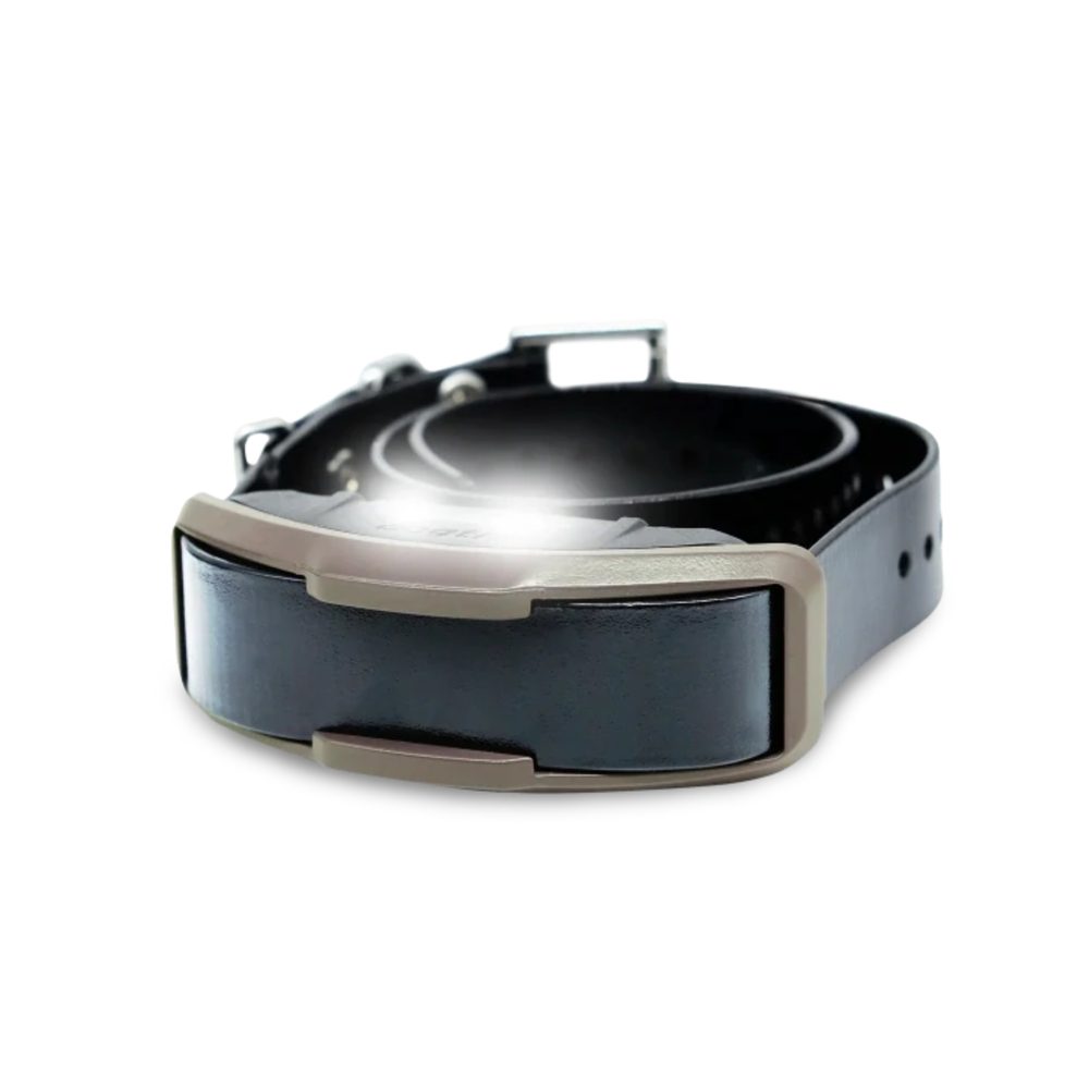 Obojek a přijímač Dogtra 1200X | P59057
