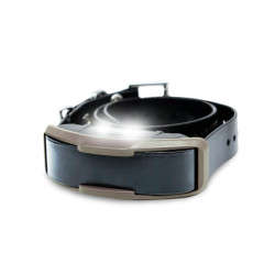 Obojek a přijímač Dogtra 1200X | P59057