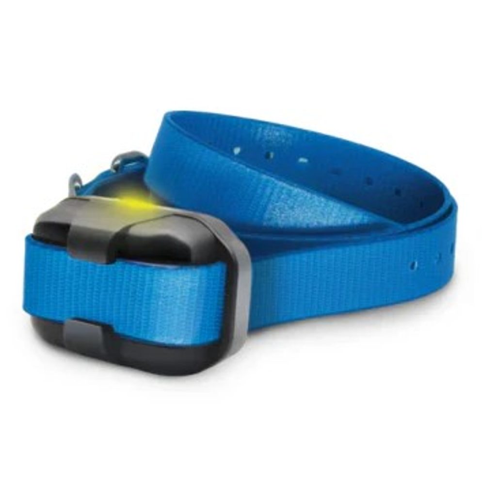 Obojek a přijímač Dogtra 640X