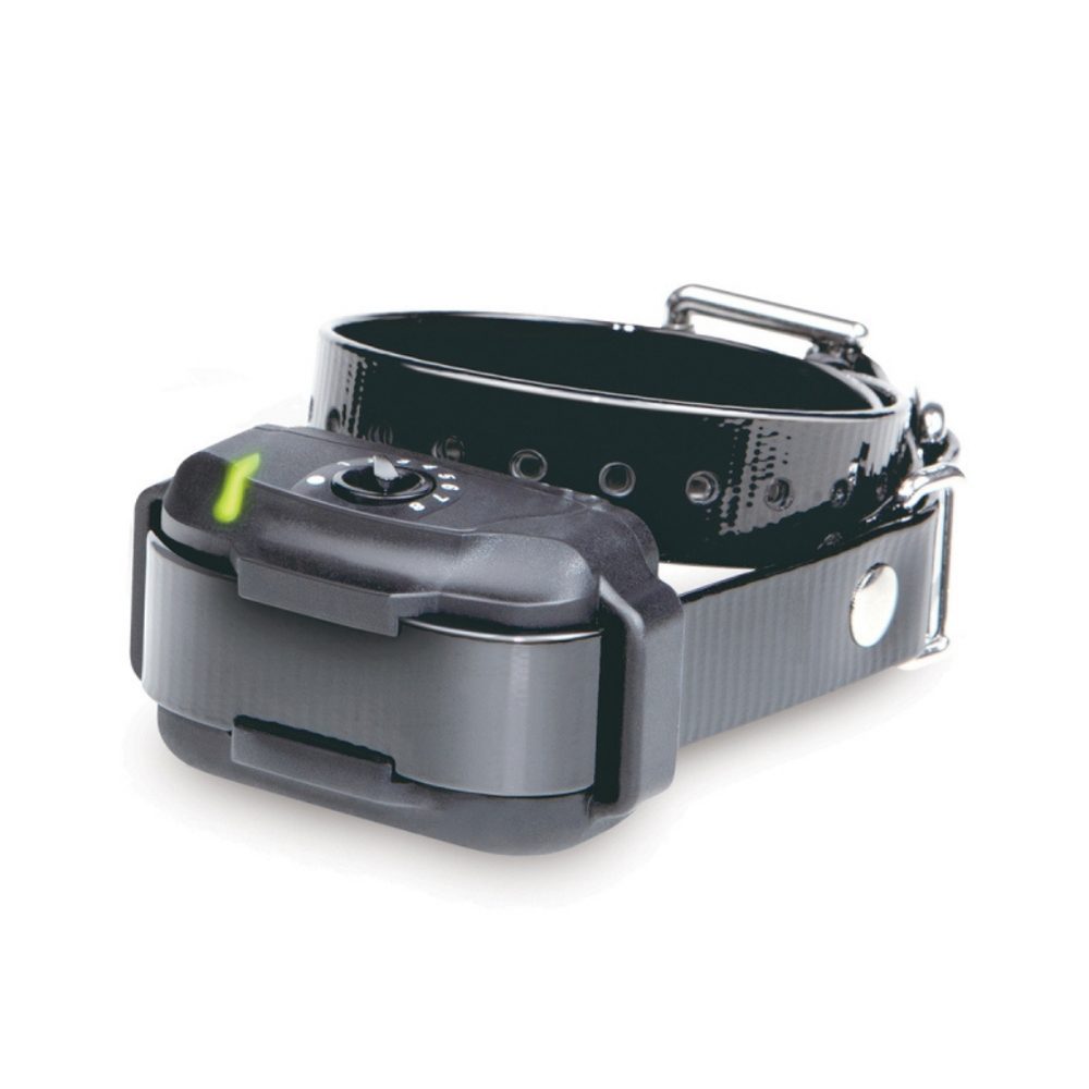 Obojek a přijímač Dogtra eF-3500, eF-3000 | P8081