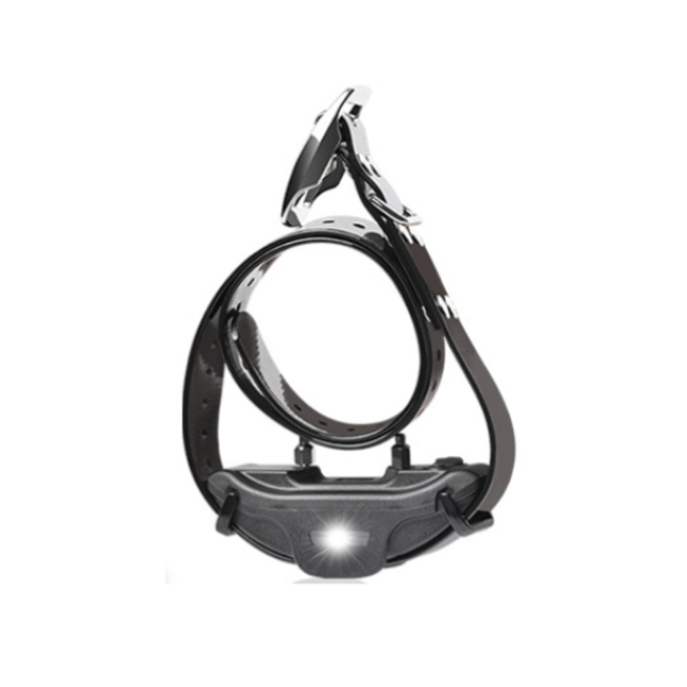 Obojek a přijímač k ohradníku pro psy Reedog DF-213 | P54190