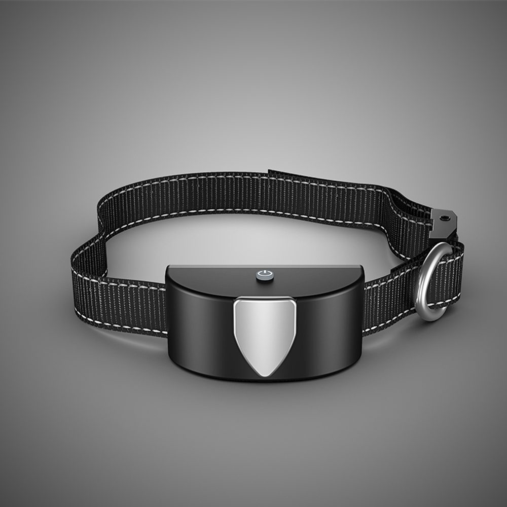 Obojek a přijímač k výcvikovému obojku Patpet T600