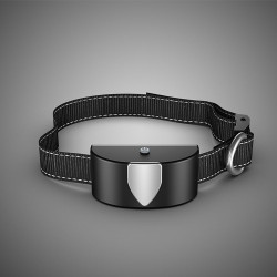 Obojek a přijímač k výcvikovému obojku Patpet T600