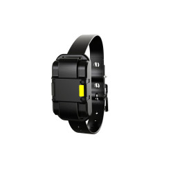 Obojek a přijímač Patpet 625