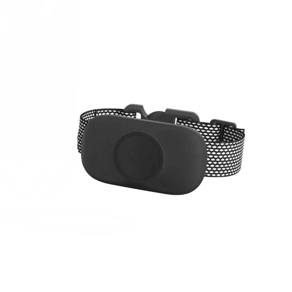 Obojek a přijímač Reedog Pro Trainer MX-500 Basic- Černý | P56049