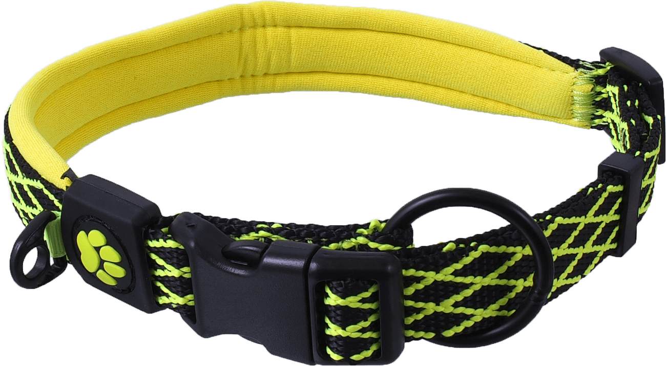 Obojek Active Dog Mystic L limetka 2,5x53-64cm