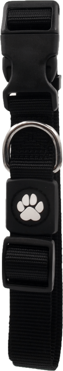 Obojek Active Dog Premium L černý 2,5x45-68cm