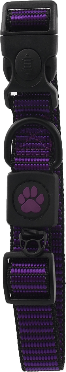 Obojek Active Dog Strong L fialový 2,5x45-68cm