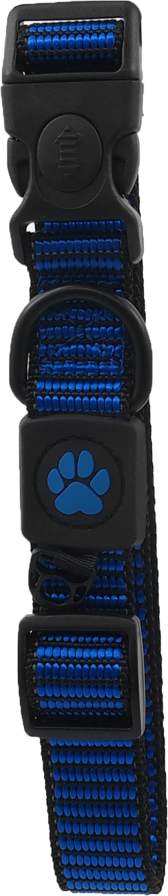 Obojek Active Dog Strong L modrý 2,5x45-68cm