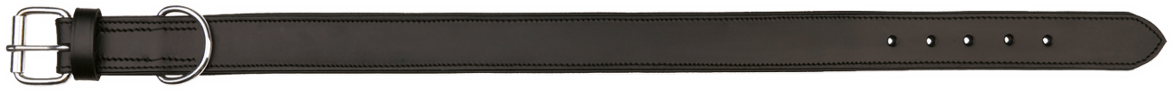 Obojek Active XL 65–75cm*40mm černý