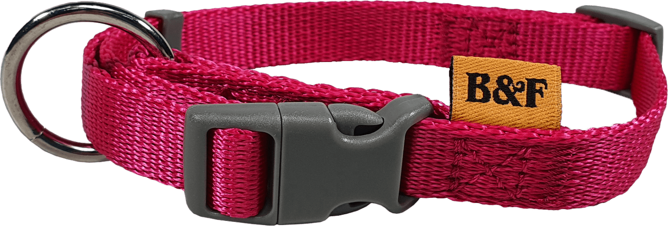 Obojek BaF nylon fuchsie 50cm