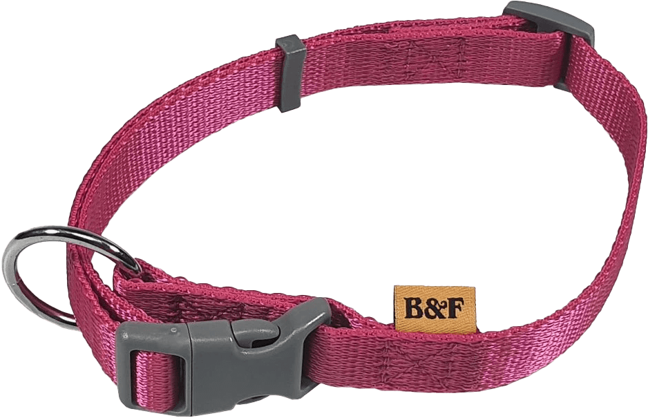 Obojek BaF nylon fuchsie 60cm