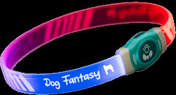 Obojek Dog Fantasy LED svítící různobarevný L 65cm