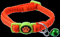 Obojek Magic Cat Nylon XS oranžový 1x19-31cm